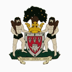 Woodstock Town Council Logo